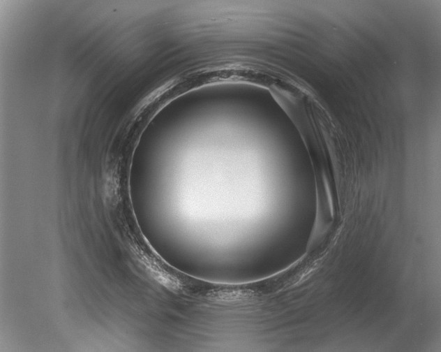X0000078880826200611131240