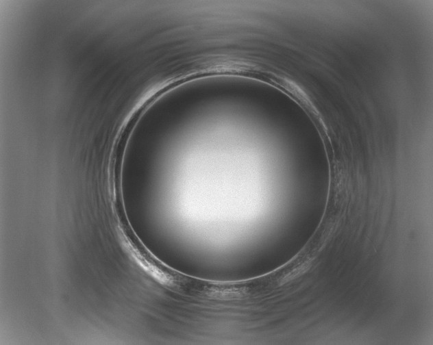 X0000078880843200611131241