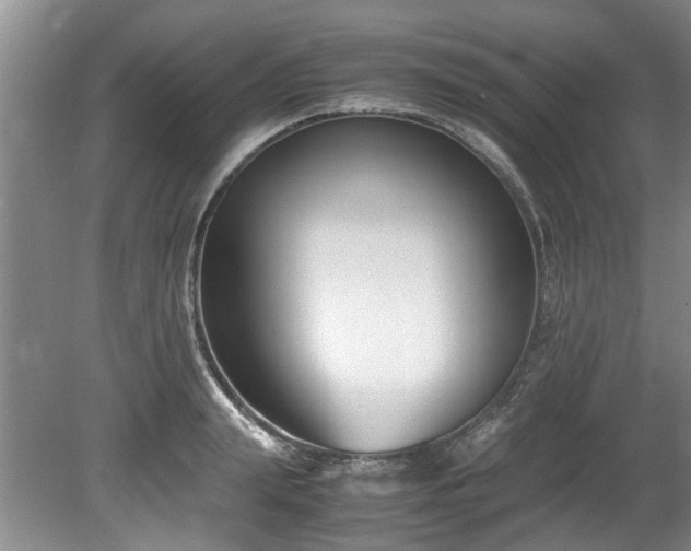 X0000078880847200611131241