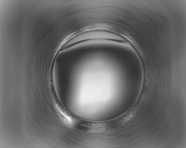 X0000078880850200611131241