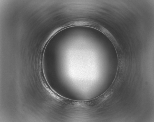 X0000078880852200611131241