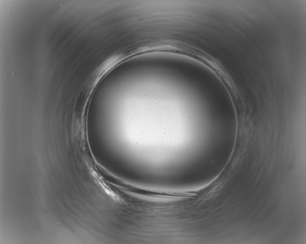 X0000078880858200611131241