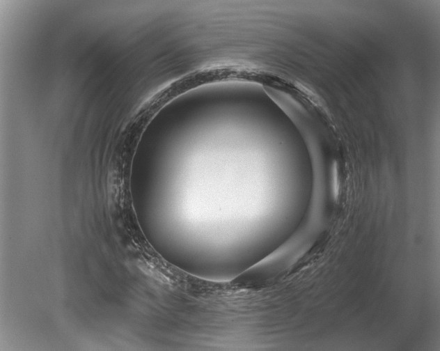 X0000078880872200611131240