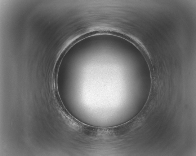 X0000078880887200611131240