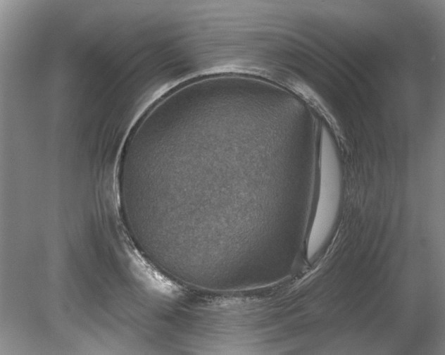 X0000078880892200611131240