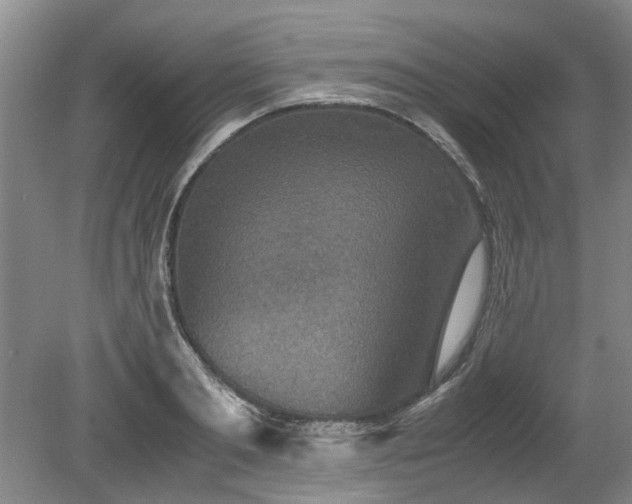 X0000078880893200611131240
