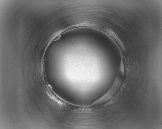 X0000078880900200611131240