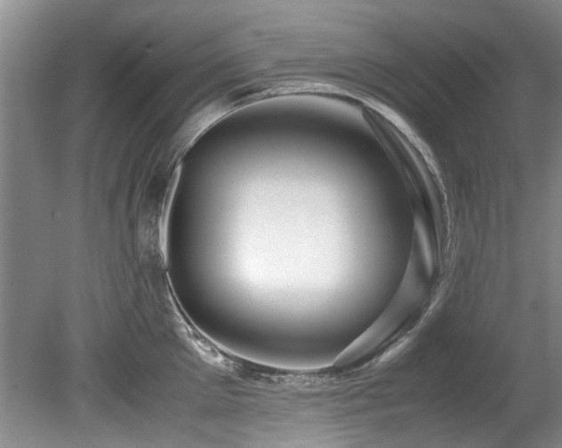 X0000078880905200611131240