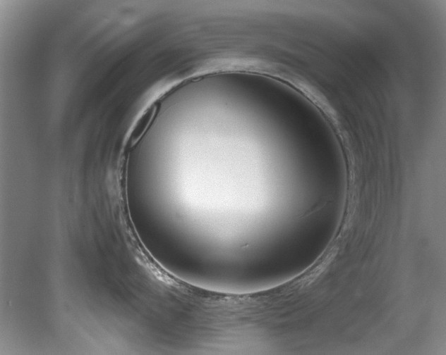 X0000078880912200611131239