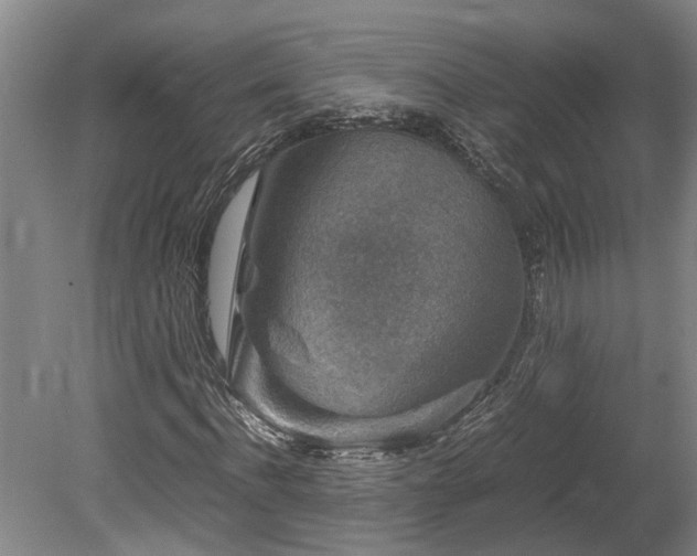 X0000078880916200611131239