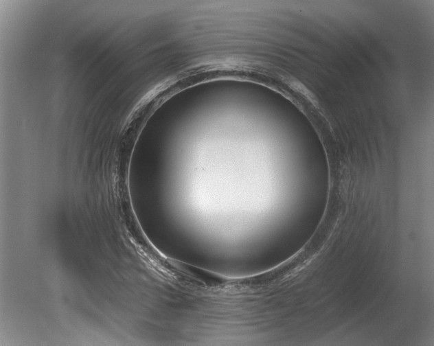 X0000078880922200611131239