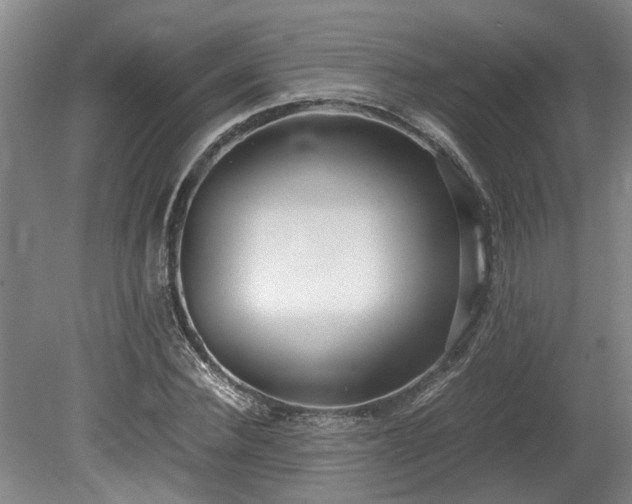 X0000078880924200611131239