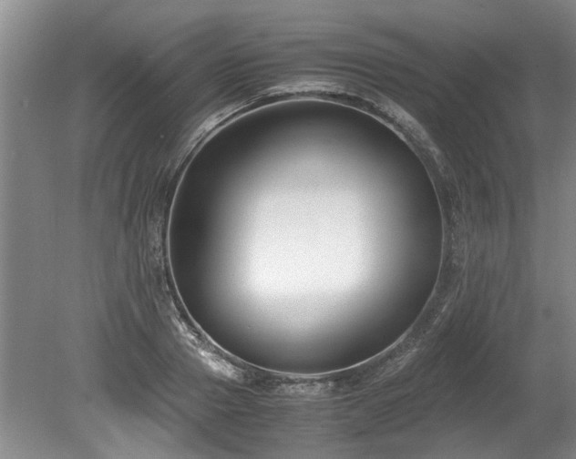 X0000078880937200611131239