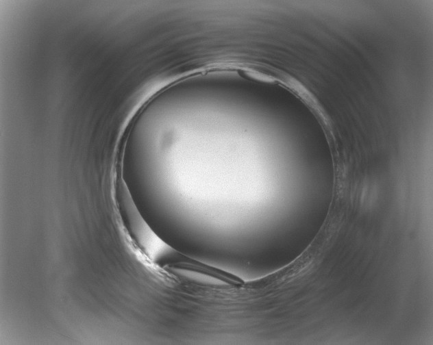 X0000078880955200611131239