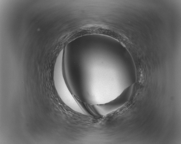X0000078880965200611131238