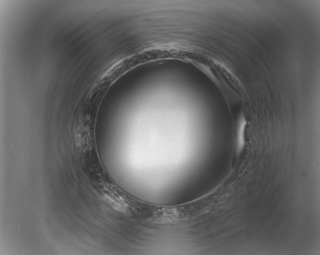 X0000078880968200611131238
