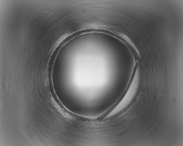 X0000078880972200611131238