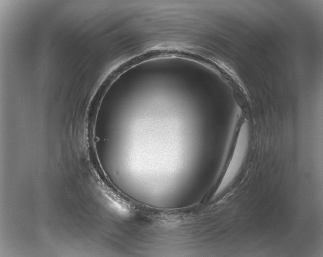 X0000078880976200611131238