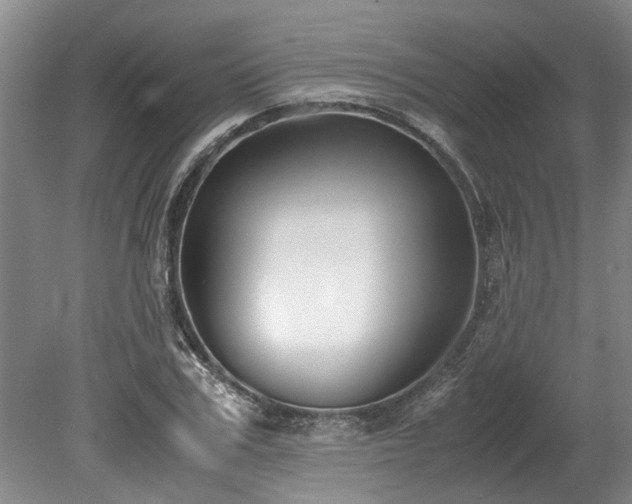 X0000078880979200611131238