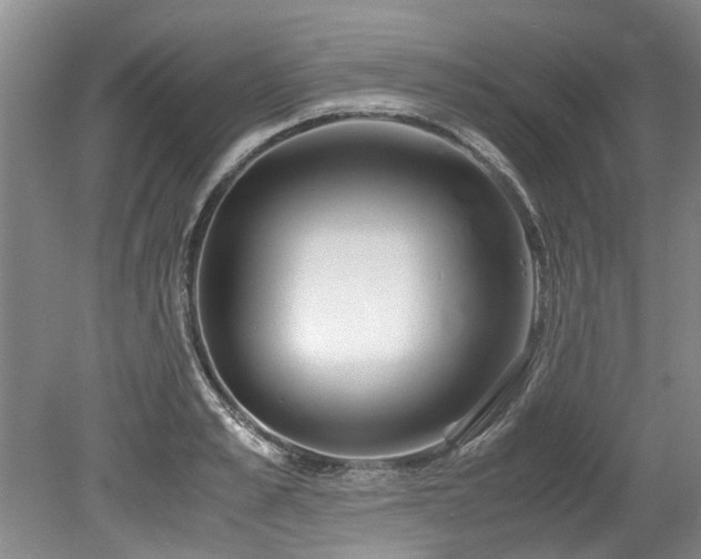 X0000078880989200611131238