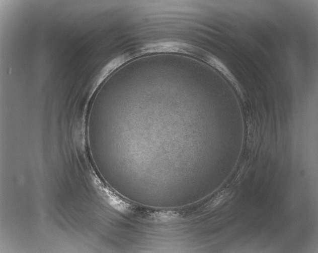 X0000078880994200611131238