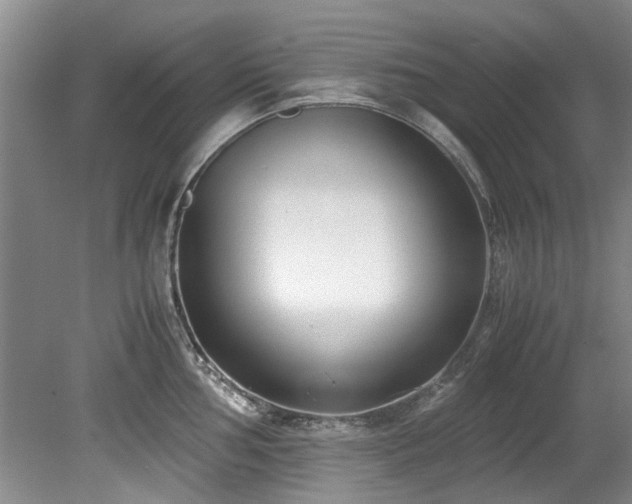 X0000078881002200611131238