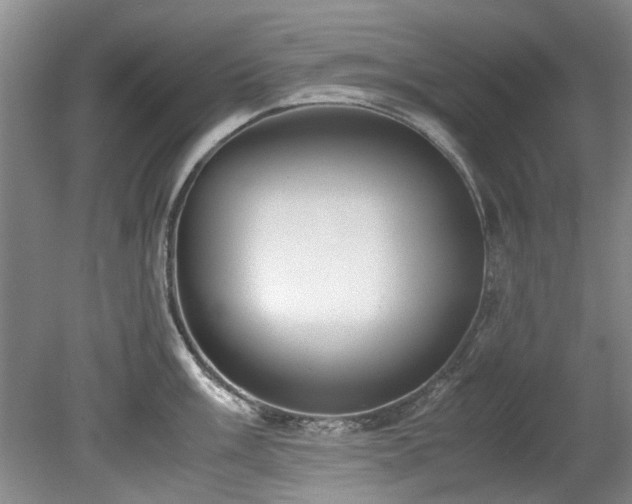 X0000078881003200611131238