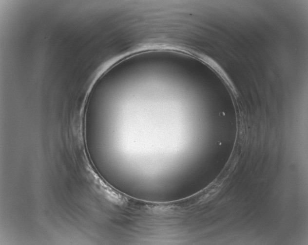 X0000078881004200611131238