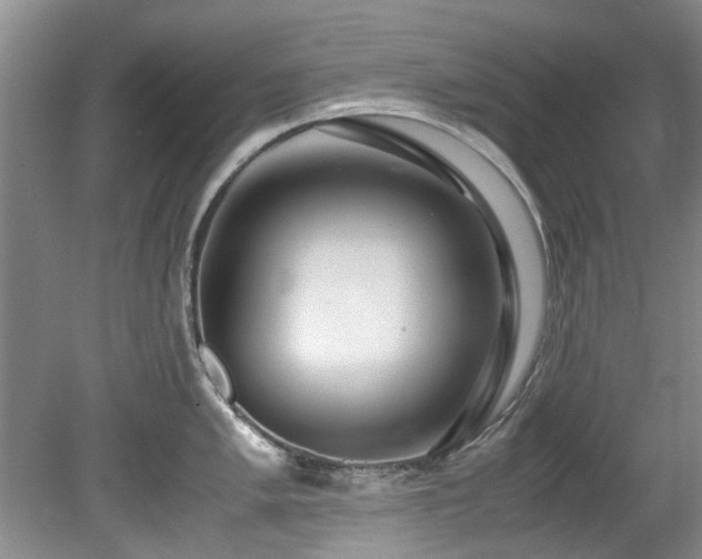 X0000078881005200611131238