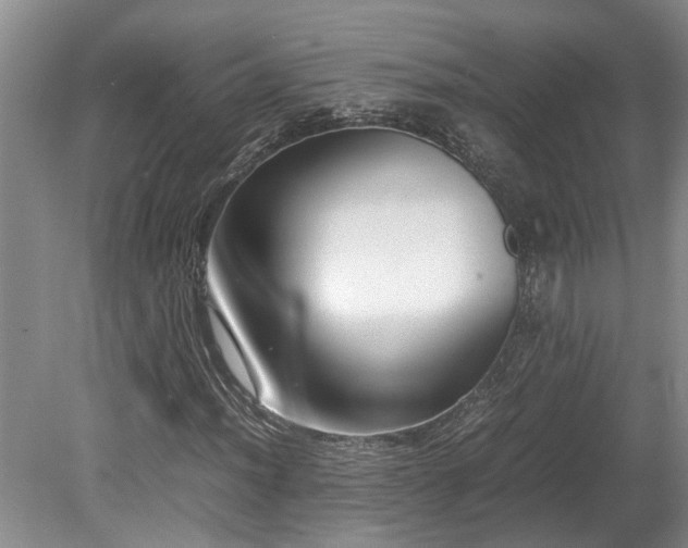 X0000078881012200611131237