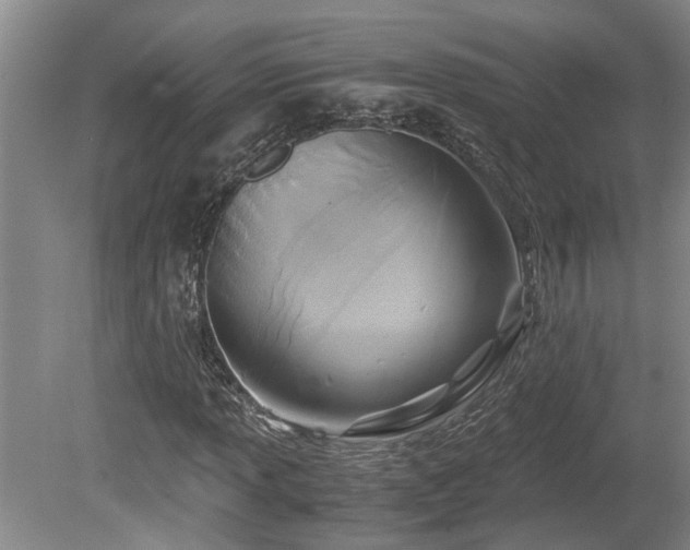 X0000078881013200611131237