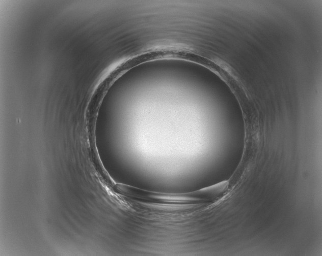X0000078881022200611131237