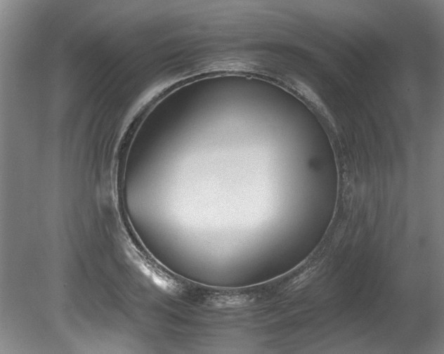 X0000078881035200611131237