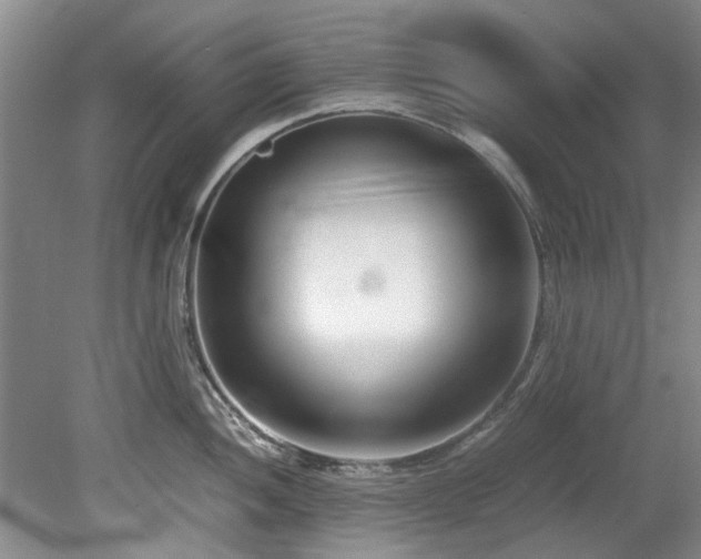X0000078881052200611131238
