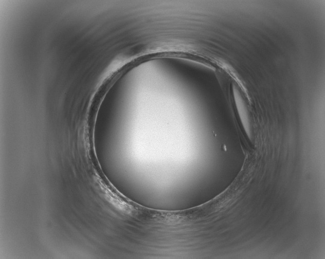 X0000078881072200611131237