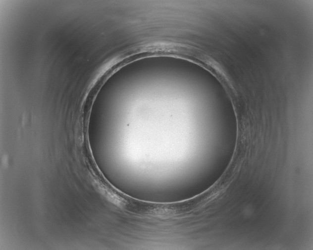 X0000078881075200611131237