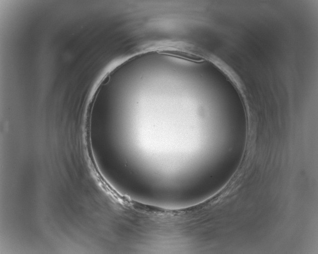 X0000078881104200611131236