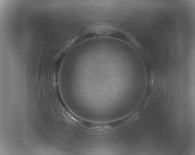 X0000078881108200611131235