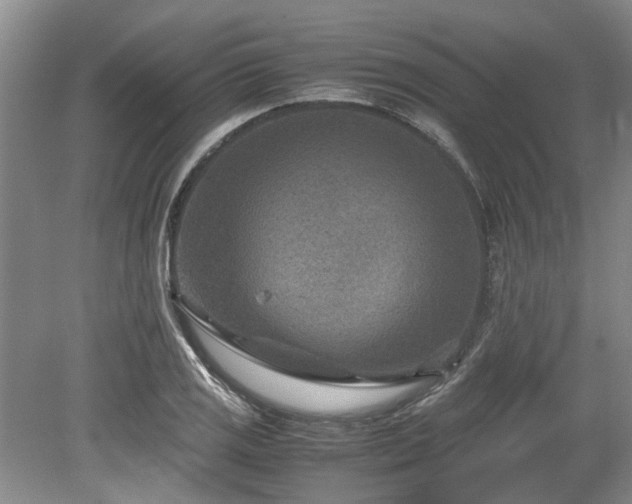 X0000078881125200611131236