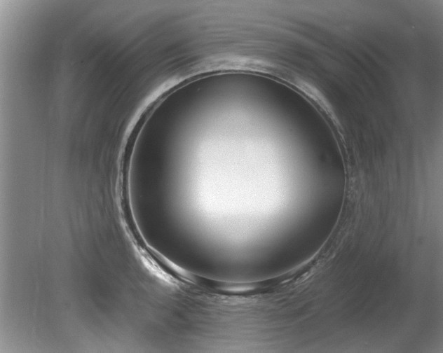 X0000078881136200611131236