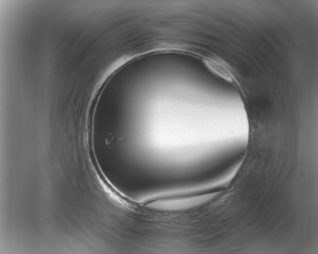 X0000078881143200611131236