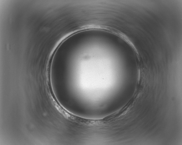 X0000078881148200611131236