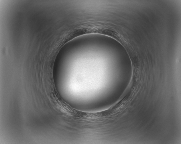 X0000078881153200611131235
