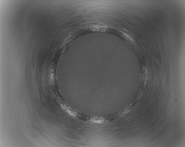 X0000078881154200611131235