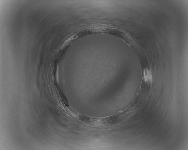 X0000078881155200611131235