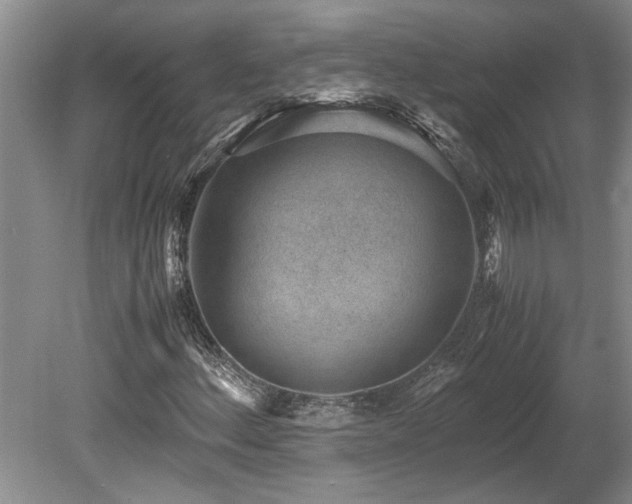 X0000078881156200611131235