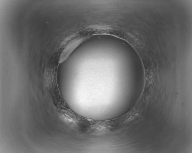 X0000078881157200611131235