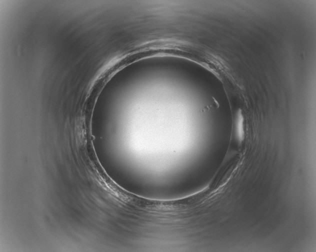 X0000078881164200611131235