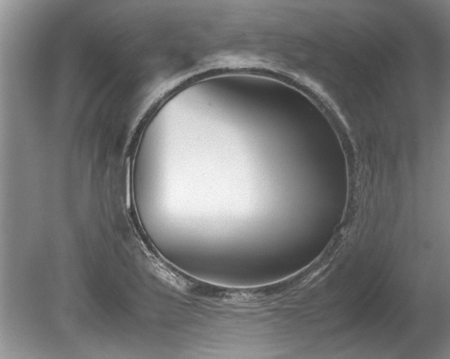 X0000078881175200611131235