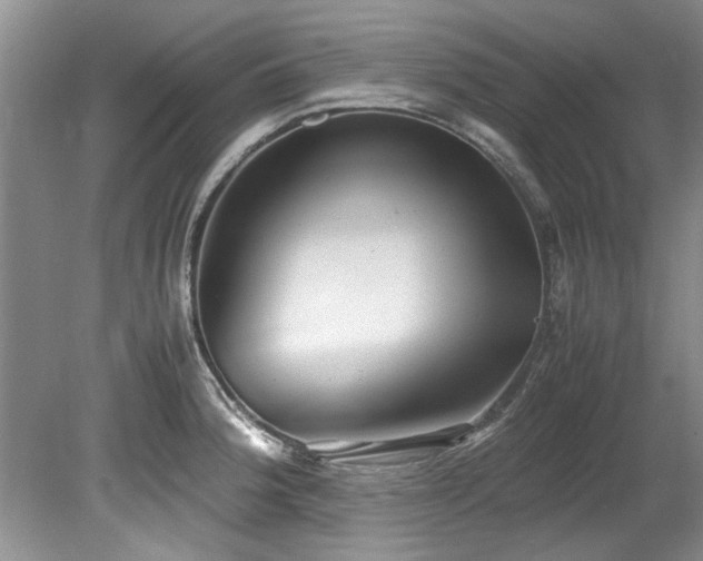 X0000078881188200611131235